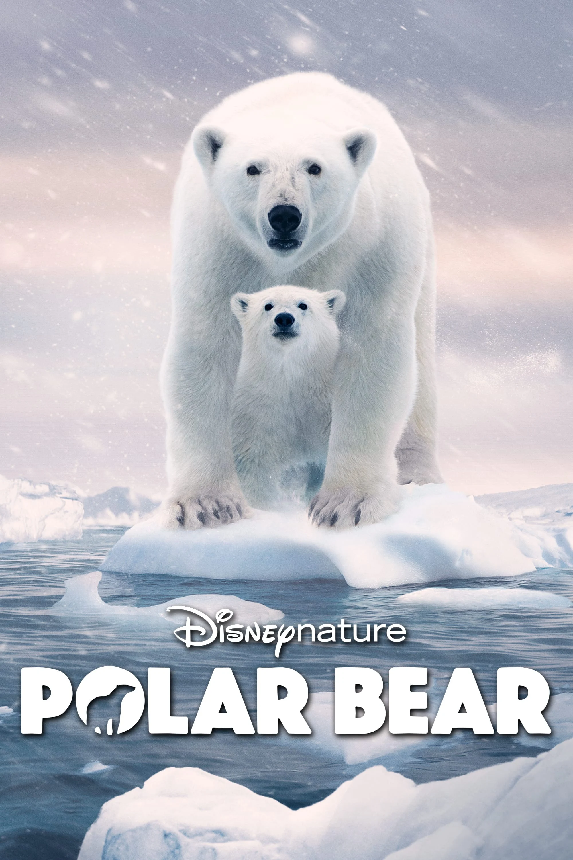 Gấu Bắc Cực - Polar Bear